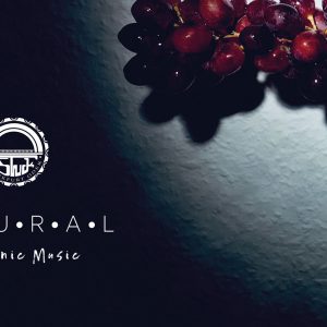 P•L•U•R•A•L 3•0 P•L•U•R•A•L 3•0